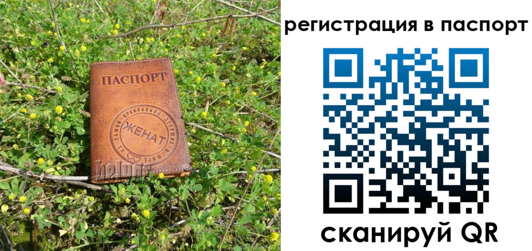 прописка законно в Троицке